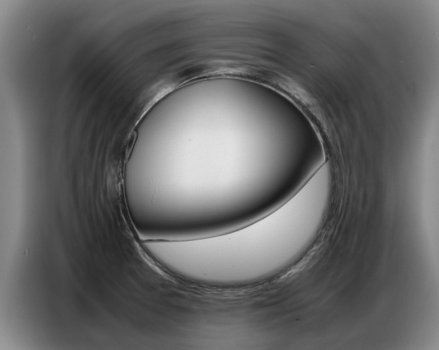X0000087321377200704200730