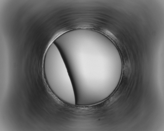 X0000087321378200704200730