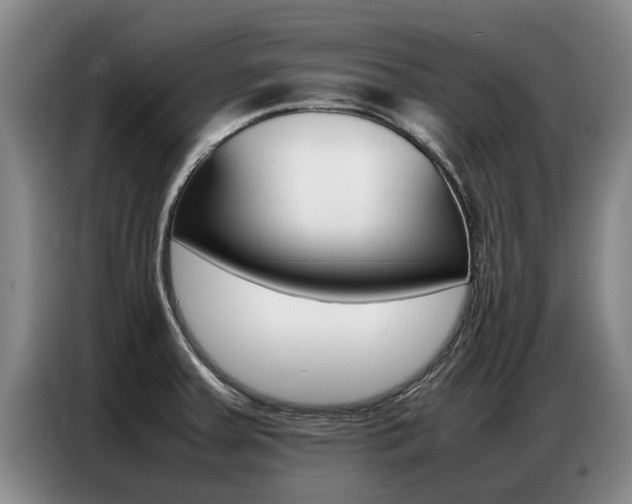 X0000087321379200704200730