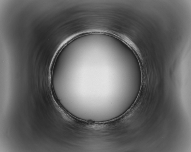 X0000087321380200704200730