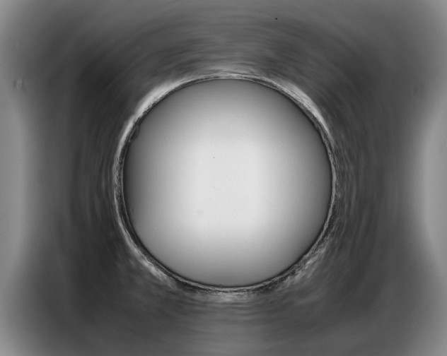 X0000087321381200704200730