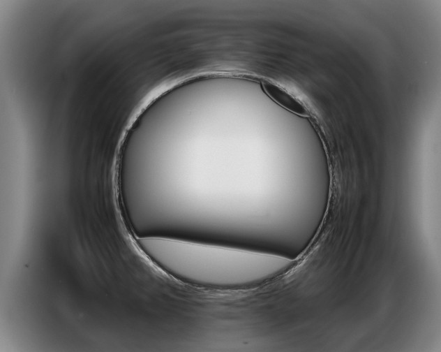 X0000087321382200704200730