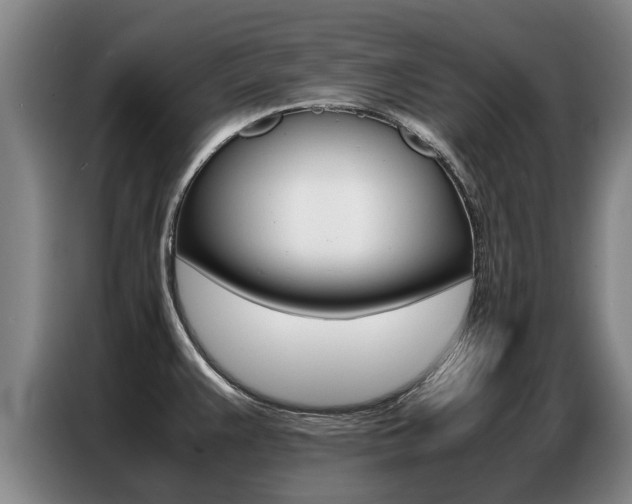 X0000087321383200704200730