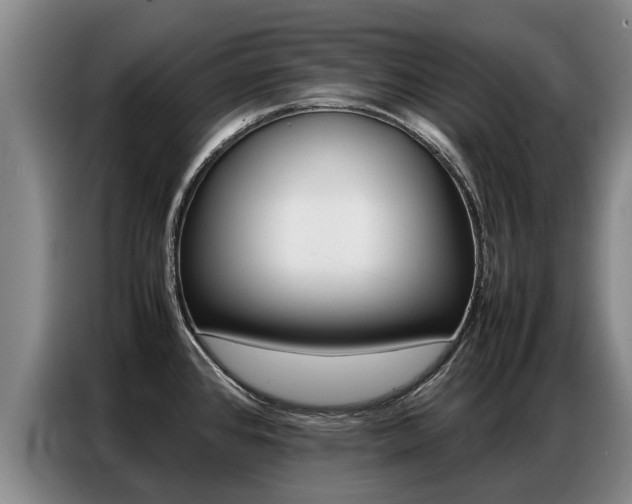 X0000087321384200704200730