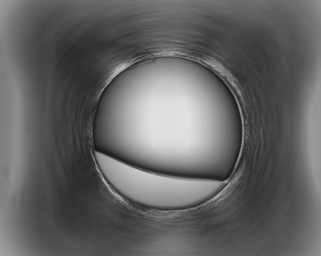 X0000087321385200704200730