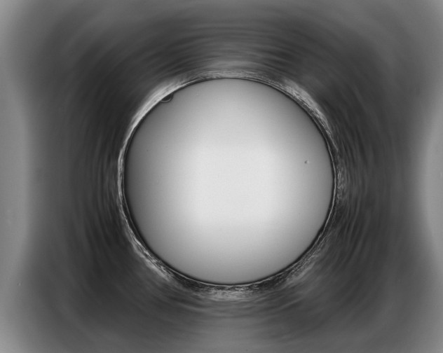 X0000087321386200704200730