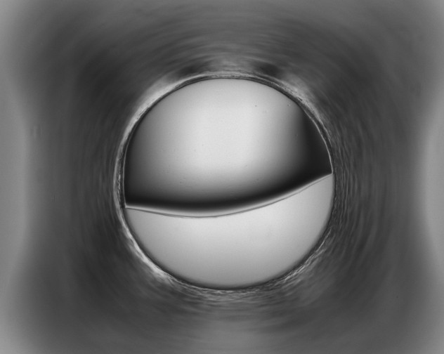 X0000087321387200704200730