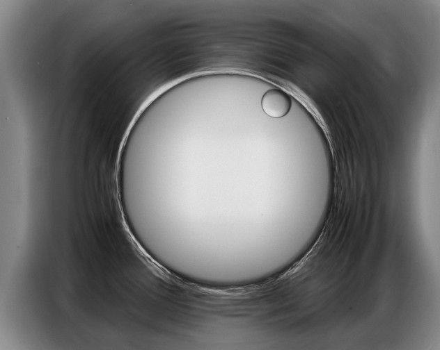 X0000087321388200704200730