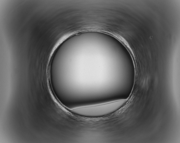 X0000087321389200704200730