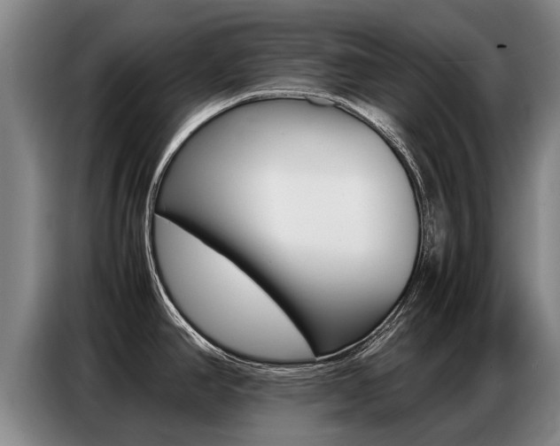 X0000087321390200704200730
