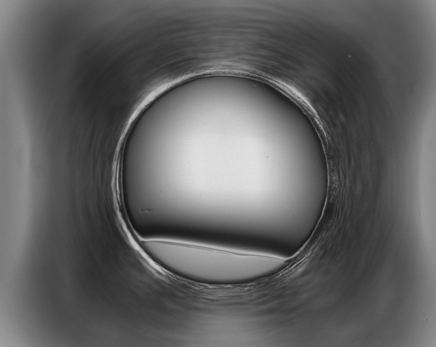 X0000087321391200704200730