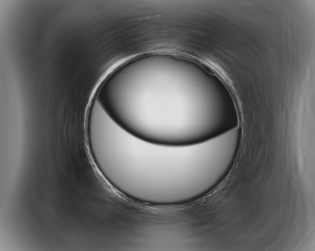 X0000087321392200704200730