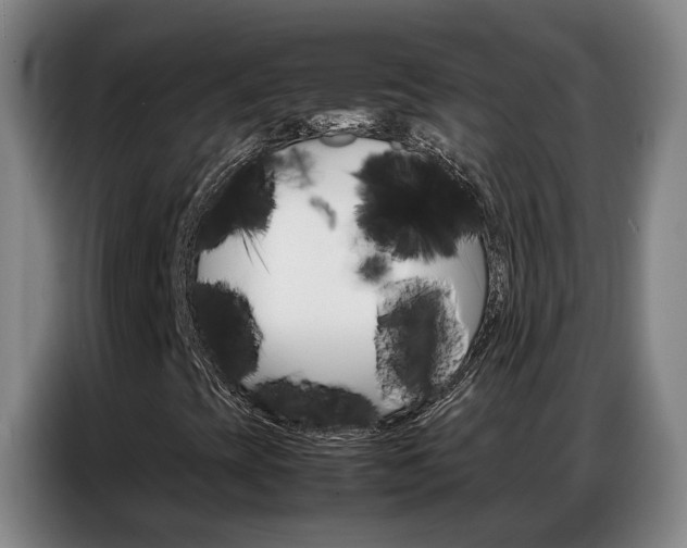 X0000087321393200704200729