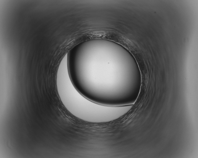 X0000087321394200704200729