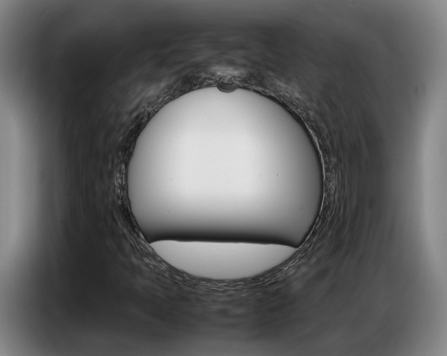 X0000087321397200704200729