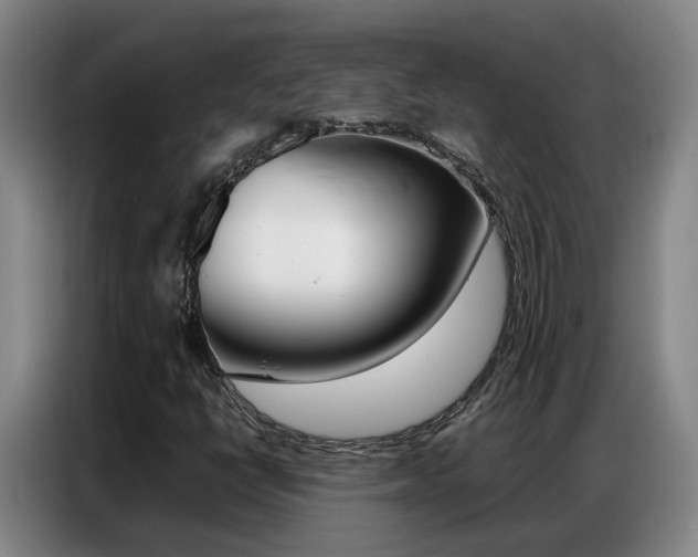 X0000087321398200704200729
