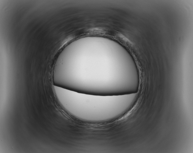 X0000087321401200704200729