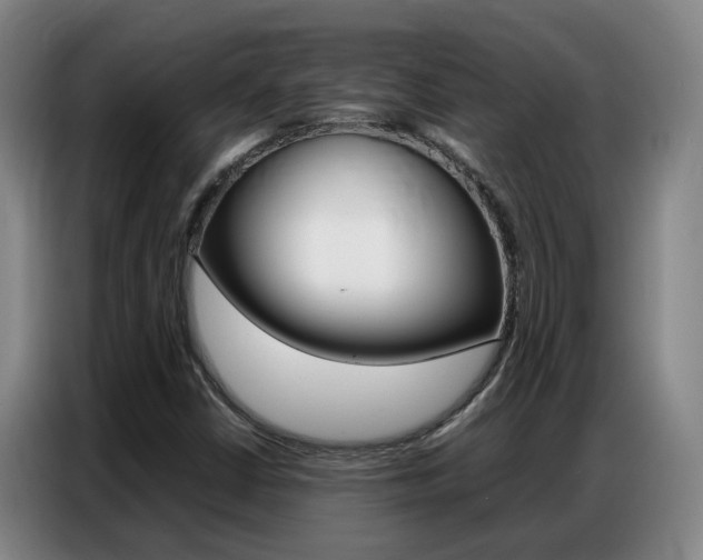 X0000087321402200704200729
