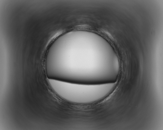 X0000087321405200704200729