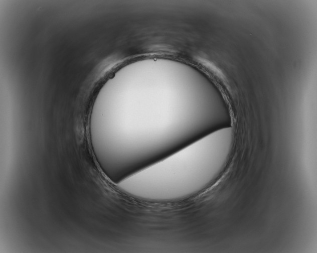 X0000087321407200704200729