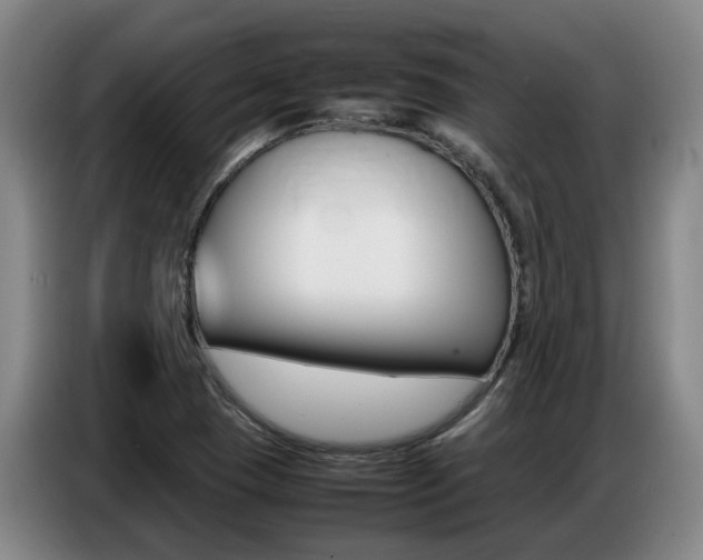X0000087321409200704200729