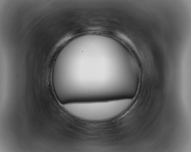 X0000087321411200704200729