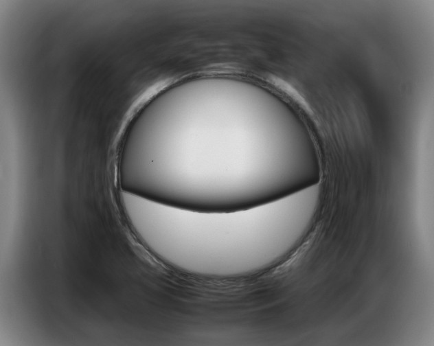 X0000087321413200704200729