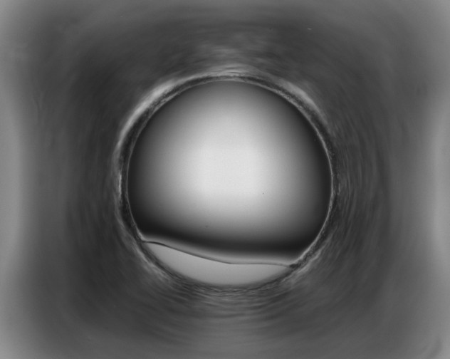 X0000087321414200704200729