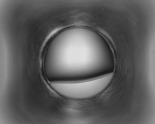 X0000087321416200704200729
