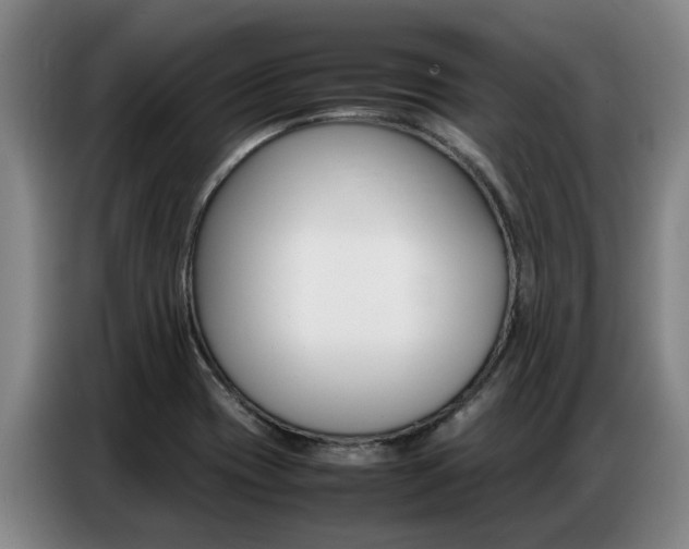 X0000087321417200704200729
