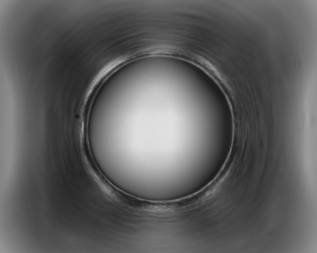 X0000087321418200704200729