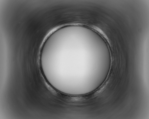 X0000087321421200704200729