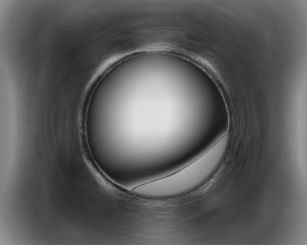 X0000087321422200704200729