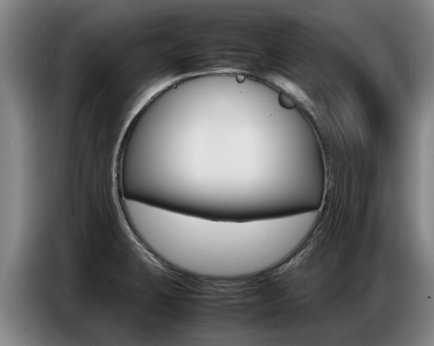 X0000087321423200704200729