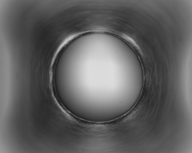 X0000087321424200704200729