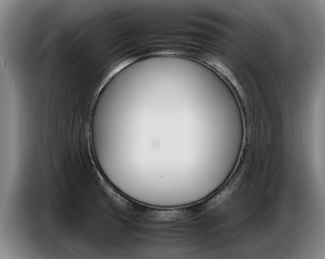 X0000087321425200704200730
