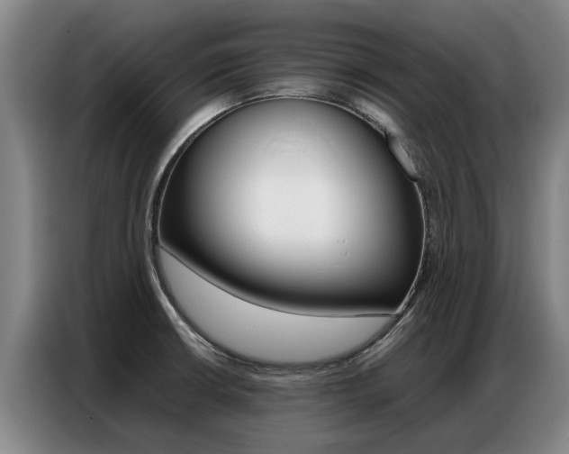 X0000087321426200704200730