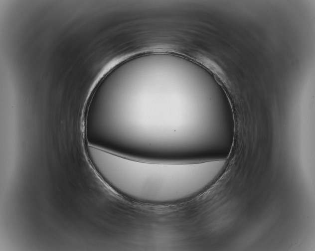X0000087321428200704200730
