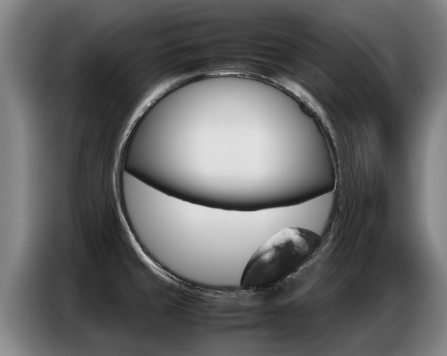 X0000087321429200704200730