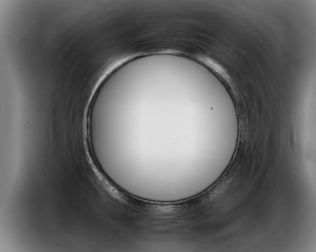 X0000087321431200704200730