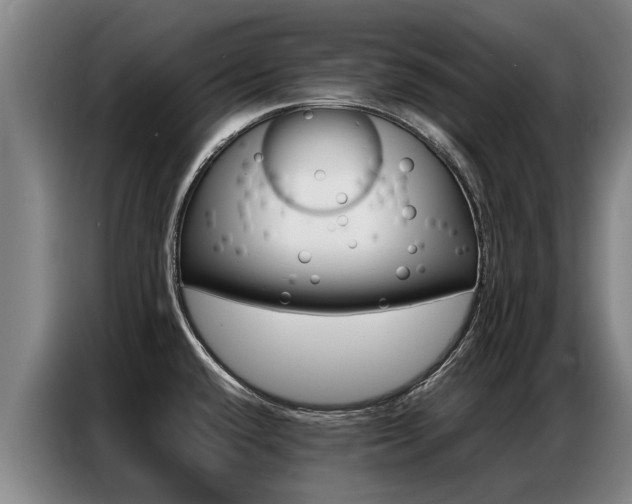 X0000087321432200704200730