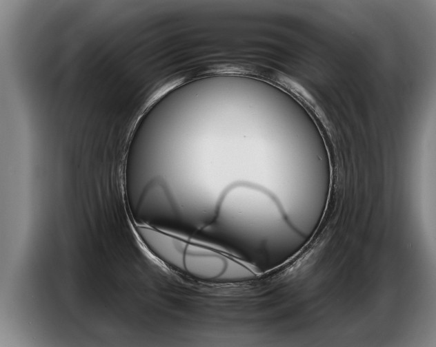 X0000087321433200704200730