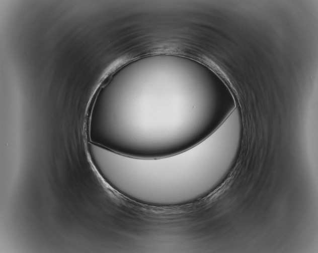 X0000087321434200704200730