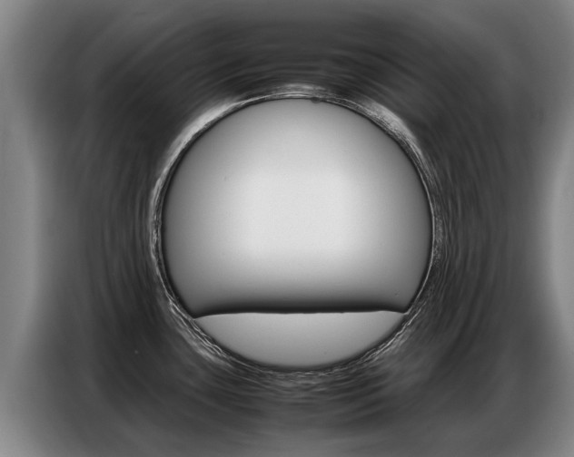 X0000087321435200704200730