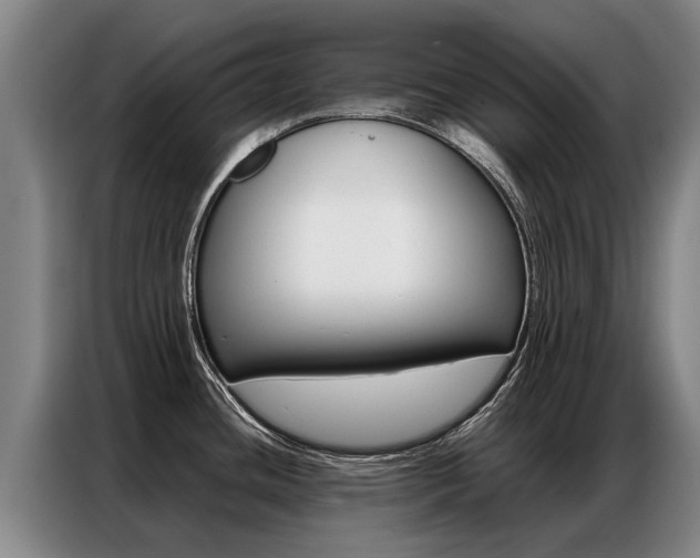 X0000087321436200704200730