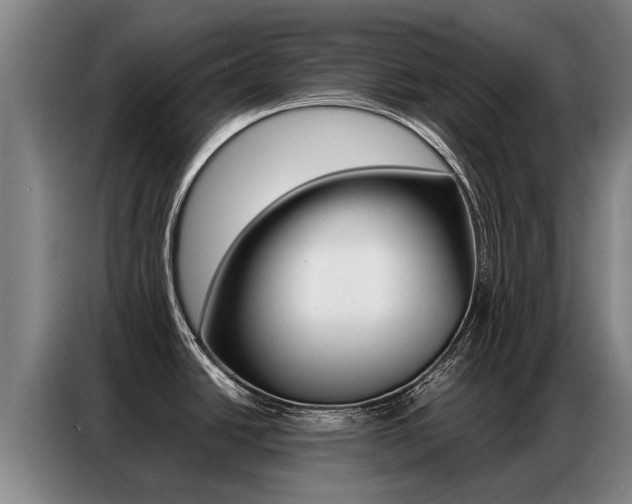 X0000087321438200704200730