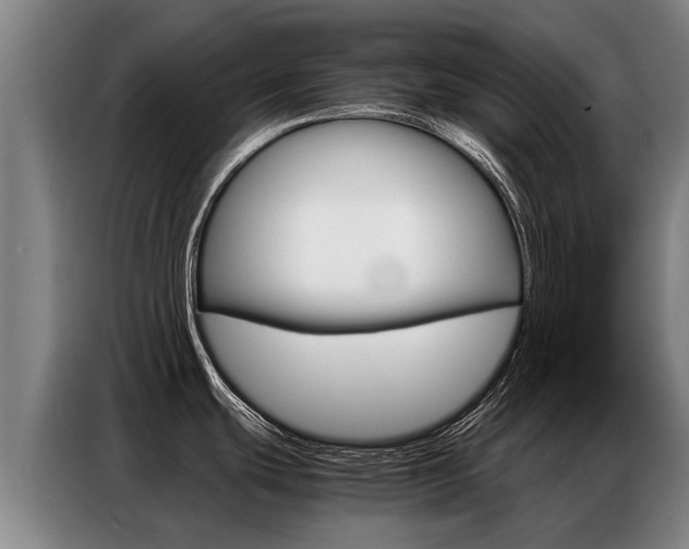 X0000087321439200704200730