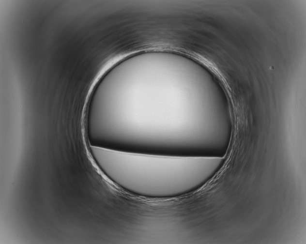 X0000087321440200704200730