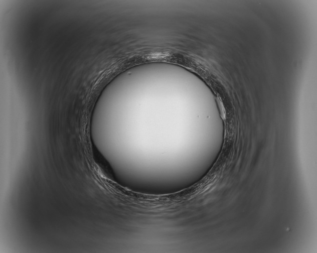 X0000087321441200704200729