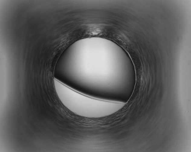 X0000087321442200704200729